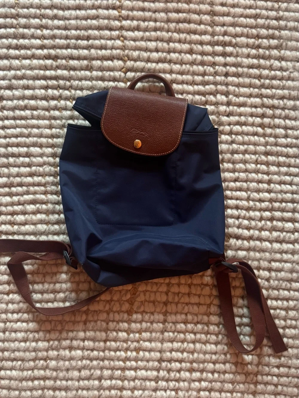 Longchamp Brown & Navy Nylon Backpack - Classic Men's Daypack
